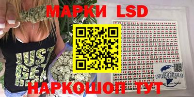 ECSTASY Гай