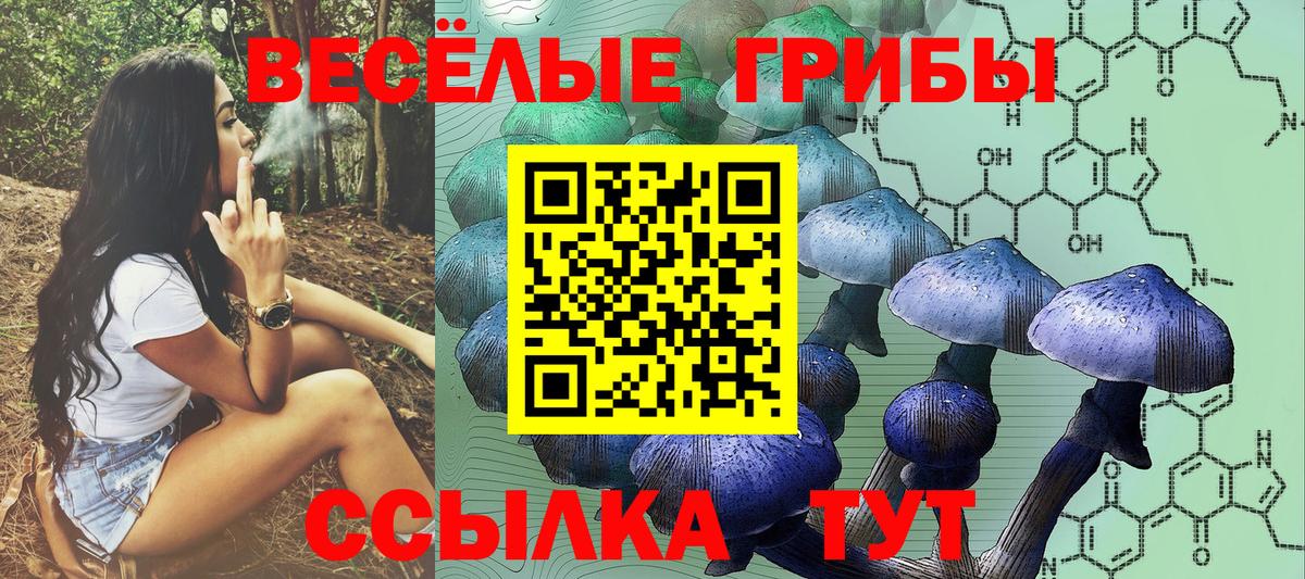 Качканар  Псилоцибиновые грибы мицелий  Вход с VPN  Псилоцибиновые грибы ЛСД 